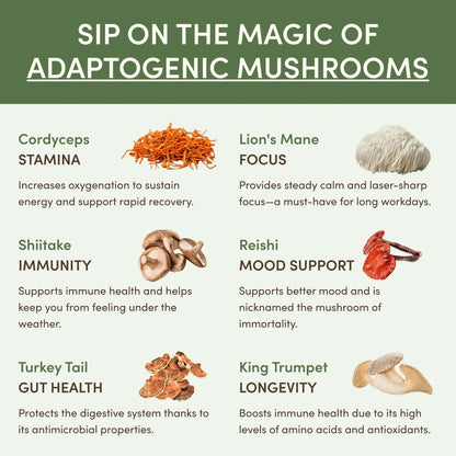 Mushroom Matcha
